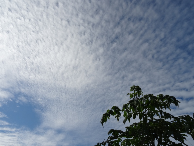 c0108460_18005867.jpg