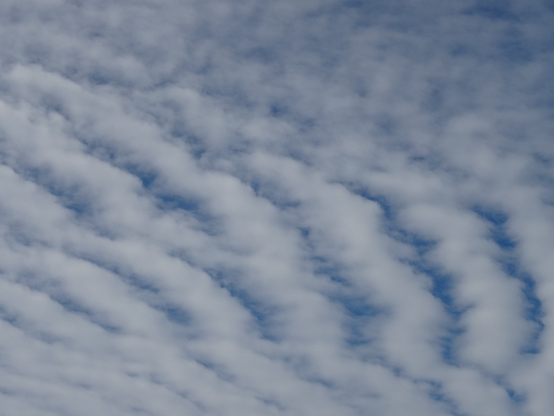 c0108460_18005950.jpg