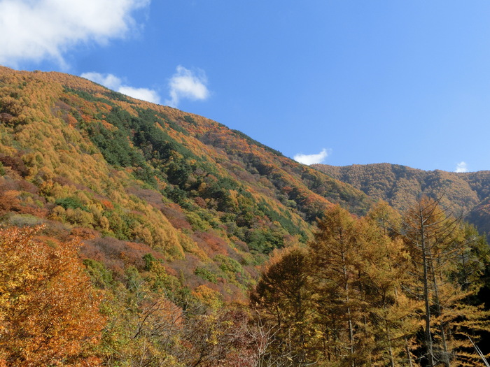 c0140260_22475563.jpg
