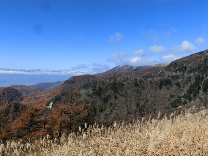 c0140260_2253713.jpg