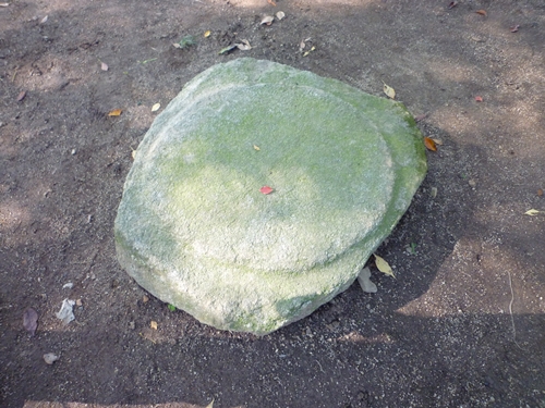 c0222861_051969.jpg