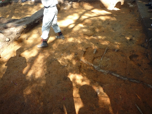 c0222861_073676.jpg