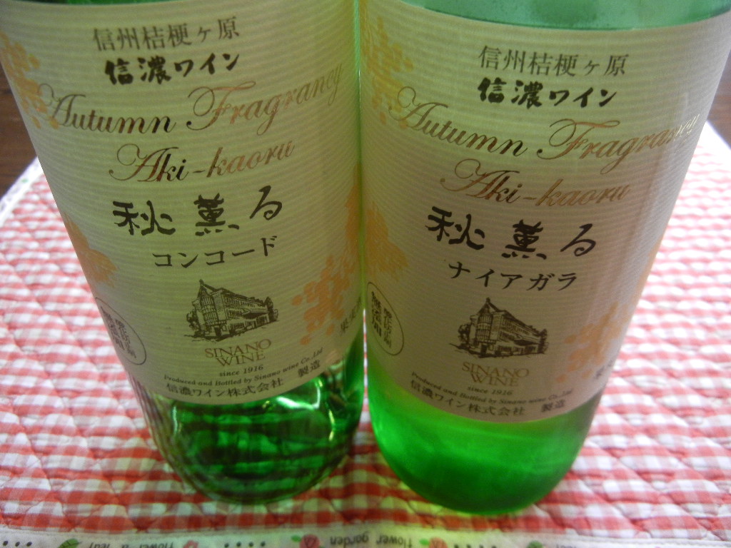 ’14,11,8(土)今日は”いい歯の日”かな?_f0060461_1218582.jpg