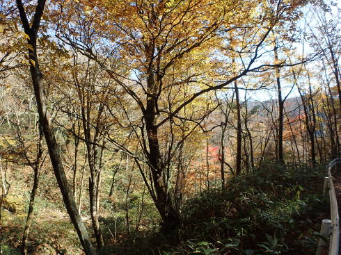 f0350468_09400012.jpg
