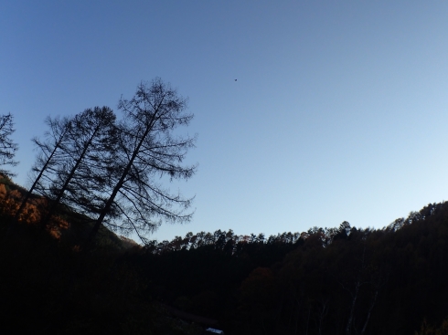 f0350468_10170256.jpg