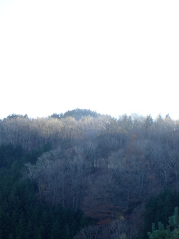 f0350468_10211482.jpg