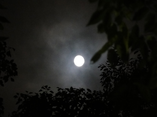 b0006870_23323581.jpg