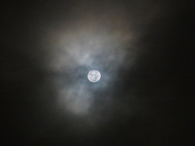 b0006870_23325319.jpg