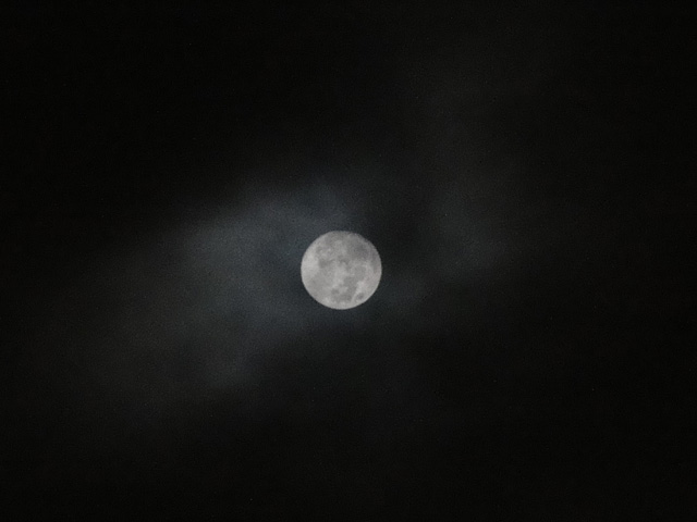 b0006870_2333586.jpg