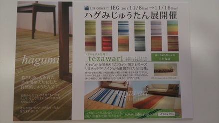 はぐみじゅうたん展_f0172281_14362362.jpg