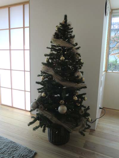 リビングをクリスマス仕様に_c0293787_17295232.jpg