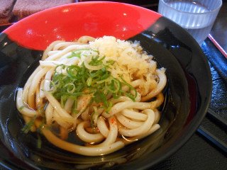 初ぶっかけ冷うどん_e0148889_1611614.jpg