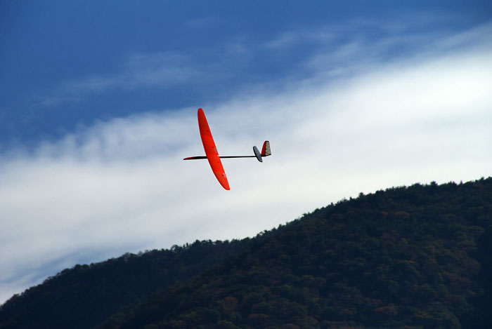 f0175989_1659090.jpg