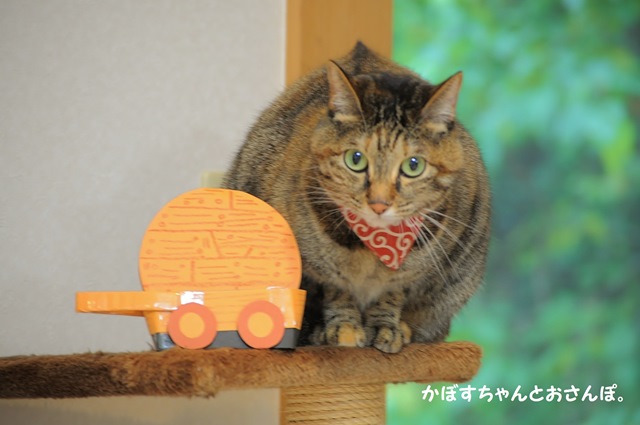 今週末は…_a0126590_09063270.jpg