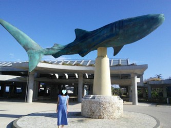 沖縄２日目：美ら海水族館_f0008991_20400328.jpg