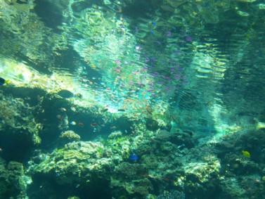 f0008991_20405510.jpg