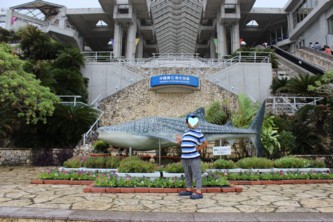 沖縄２日目：美ら海水族館_f0008991_20424629.jpg