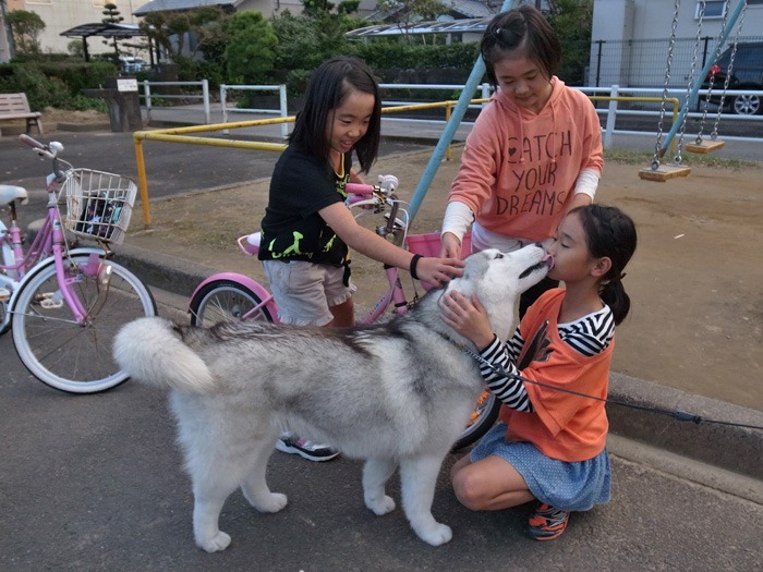 光を浴びて♪ (*^_^*)_c0049299_21421813.jpg