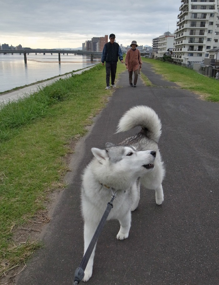 光を浴びて♪ (*^_^*)_c0049299_2143386.jpg