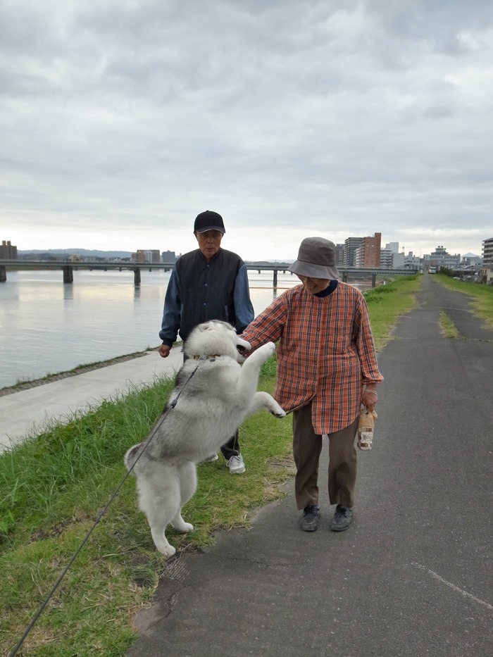 光を浴びて♪ (*^_^*)_c0049299_21434930.jpg