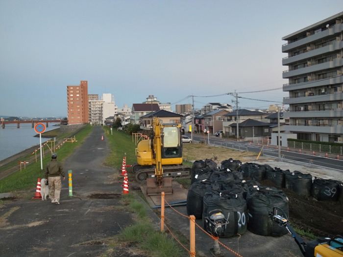 光を浴びて♪ (*^_^*)_c0049299_21544437.jpg