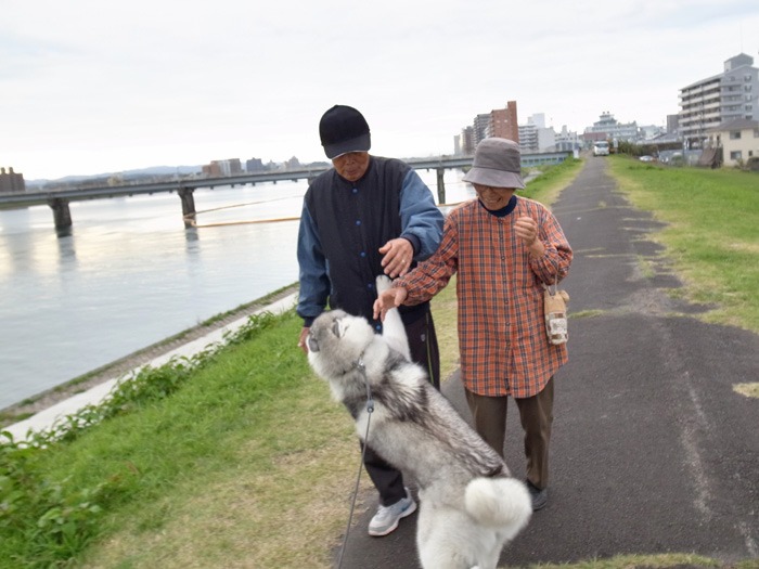 光を浴びて♪ (*^_^*)_c0049299_2254338.jpg