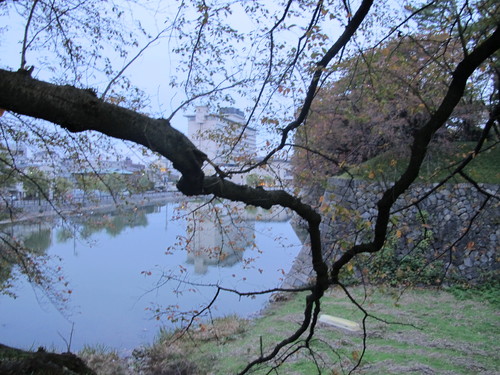 名古屋城公園を散歩し、名古屋城はホテルから眺める・・・１_c0075701_8352474.jpg