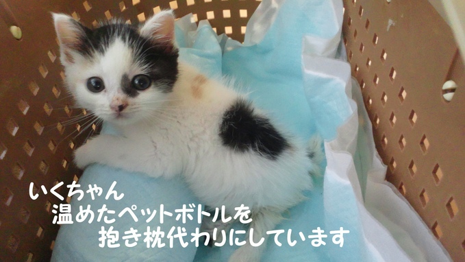 少し障害ありますが・・(育)_f0242002_2104346.jpg