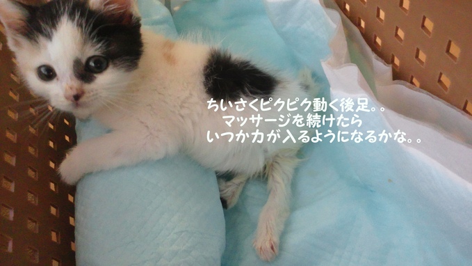 少し障害ありますが・・(育)_f0242002_2105649.jpg