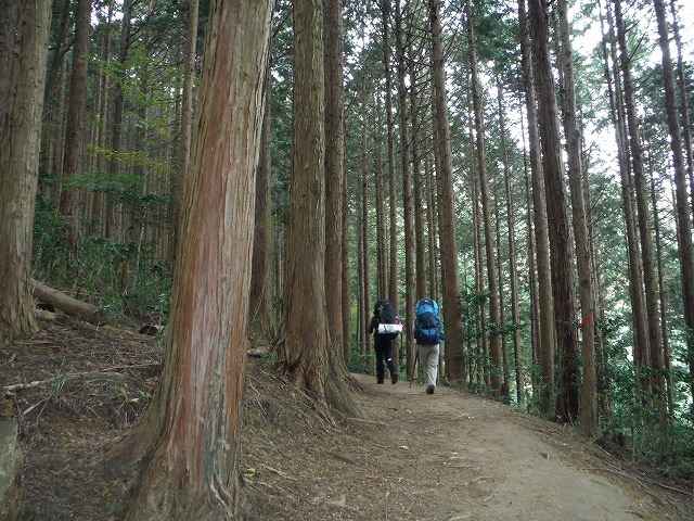 山婆、乙女会初テント泊(葛城山ロープウェイから)_b0326303_21515632.jpg