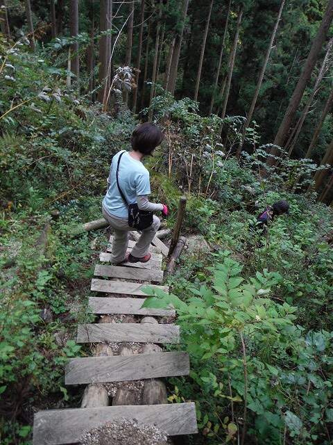 山婆、乙女会初テント泊(葛城山ロープウェイから)_b0326303_22181473.jpg