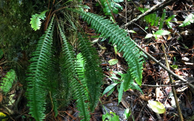 e0218504_11340107.jpg