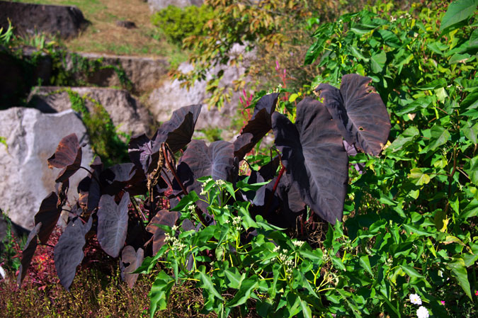 a0263109_20465545.jpg