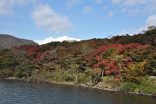 全山紅葉　箱根の秋_a0278809_15502423.gif