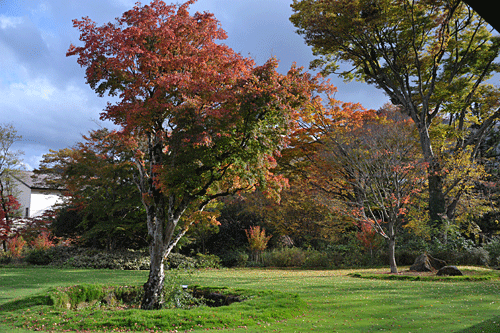 全山紅葉　箱根の秋_a0278809_15504258.gif