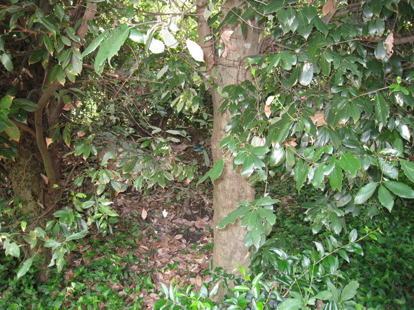 d0287413_17222821.jpg