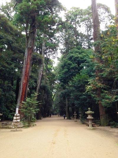 常陸国一之宮、鹿島神宮を参拝。_b0032617_2036899.jpg