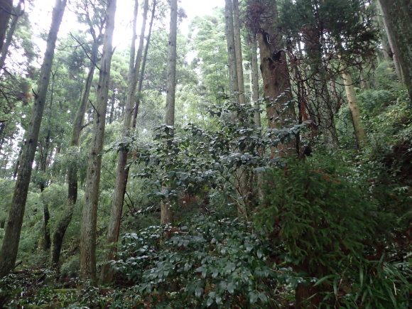 a0315918_19185697.jpg