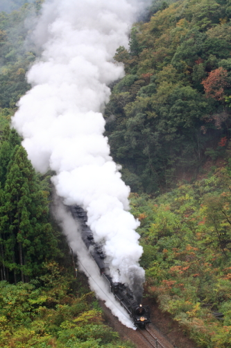 SL山口号　11月9日　9521_f0333821_20335865.jpg