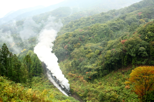 f0333821_20342353.jpg
