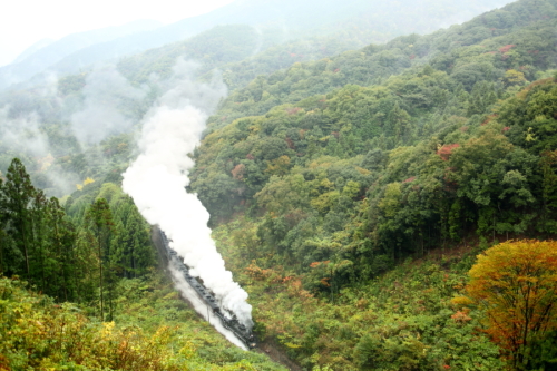 SL山口号　11月9日　9521_f0333821_20342353.jpg