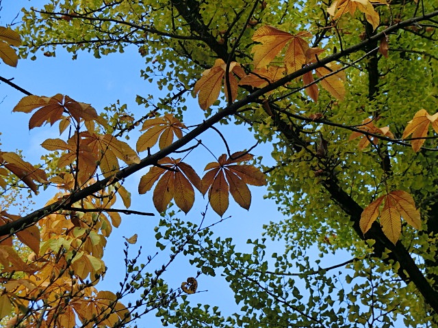 e0234924_1440375.jpg