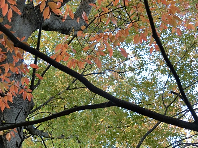 e0234924_14543811.jpg