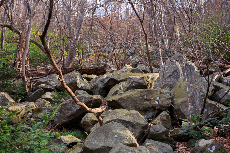 b0243727_14173195.jpg