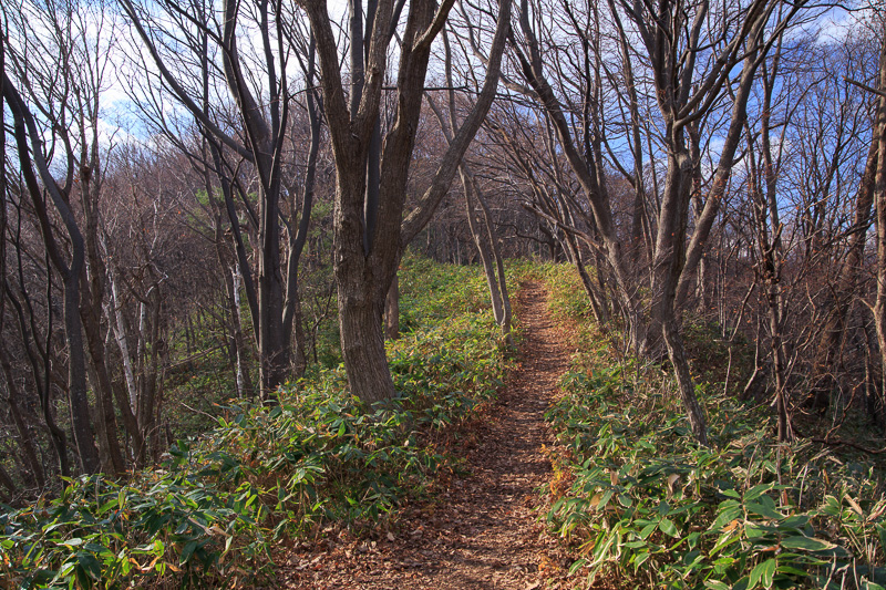 b0243727_14203870.jpg