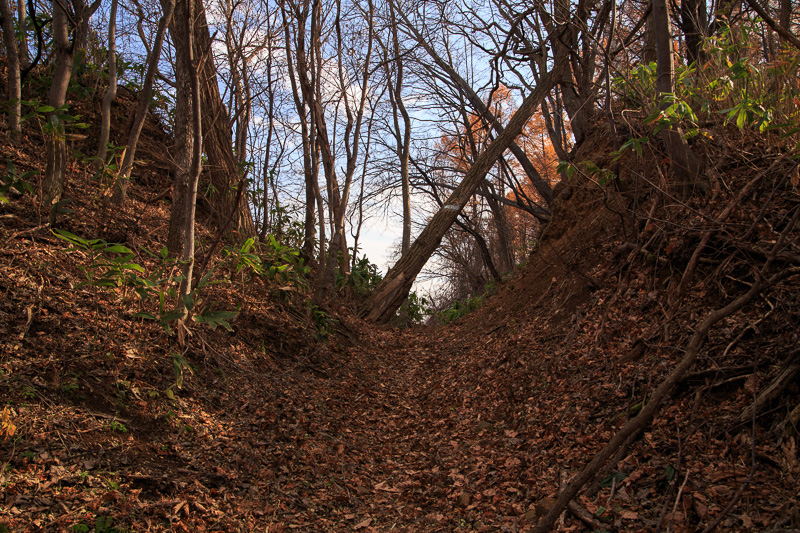 b0243727_14425646.jpg