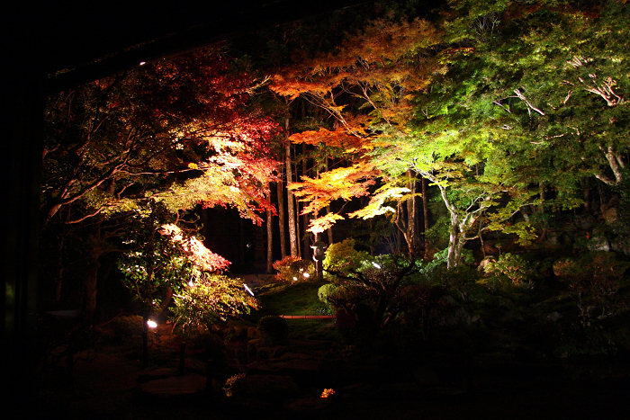 紅葉の比叡山 －坂本・旧竹林院ライトアップ－_b0169330_1633023.jpg