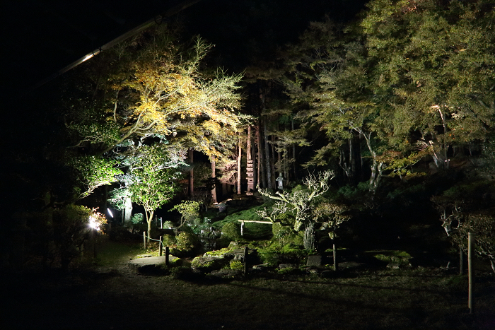 紅葉の比叡山 －坂本・旧竹林院ライトアップ－_b0169330_16334182.jpg