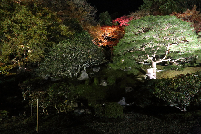 紅葉の比叡山 －坂本・旧竹林院ライトアップ－_b0169330_16335264.jpg