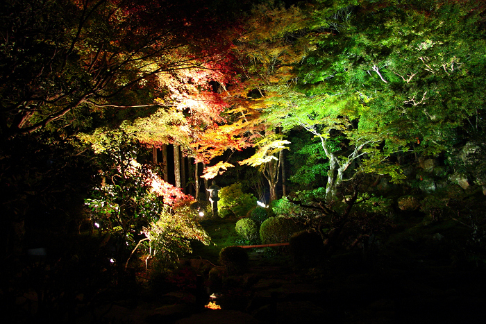 紅葉の比叡山 －坂本・旧竹林院ライトアップ－_b0169330_1633770.jpg